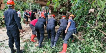 Personel Batalyon C Pelopor Satbrimob Polda Sulut Gerak Cepat Evakuasi Pohon Tumbang di Jalan Warembungan-Sea