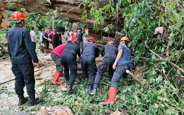 Personel Batalyon C Pelopor Satbrimob Polda Sulut Gerak Cepat Evakuasi Pohon Tumbang di Jalan Warembungan-Sea