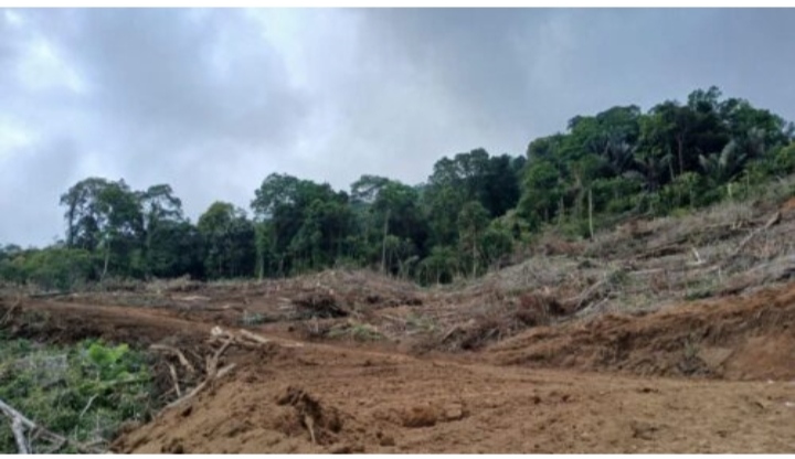 Wenny Lumentut Siap Kembangkan Tatawiran Agotey Jadi Destinasi Wisata Agro