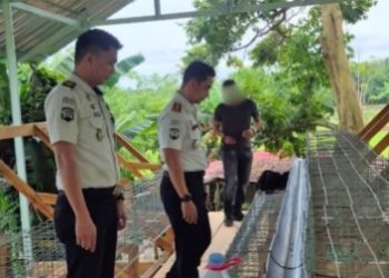 Kalapas Tondano Kawal Langsung Pembangunan Kandang Ayam Petelur, Siapkan Warga Binaan Jadi Mandiri